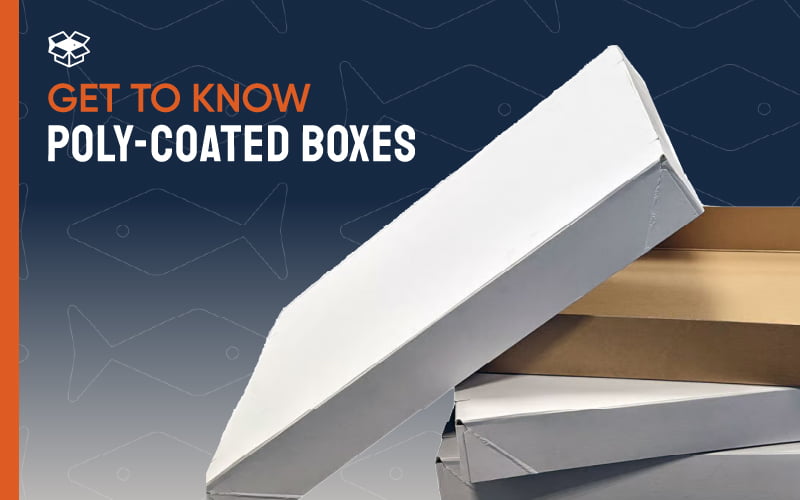 GET TO KNOW: Two Part Poly-Coated Boxes