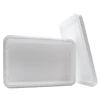 Polystyrene Box